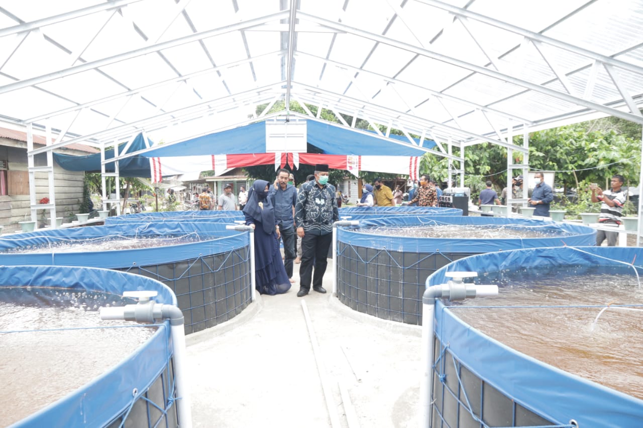 Tinjau Pembangunan Kolam Bioflok di Kampung Libo Jaya, Ini Harapan Alfedri
