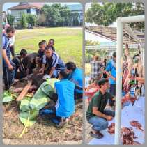 Rayakan Idul Adha, SMAN 8 Pekanbaru Potong 6 Sapi dan 3 Kambing