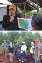 Bupati Afni  Tinjau lansung Lahan Sawah Mengering di Bunga raya, Dorong Kolaborasi dan Solusi Perman