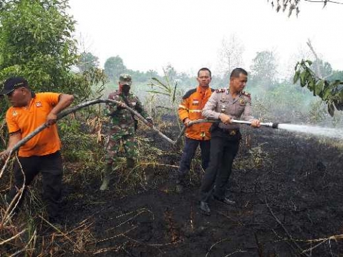 Lahan Gambut Ditanami Lengkuas Depan SMPN 33 Pekanbaru Terbakar