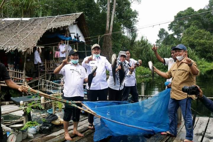 Bupati Kab.Siak bersama BKSDA Riau Panen Tapah dan Toman di Danau Zamrud