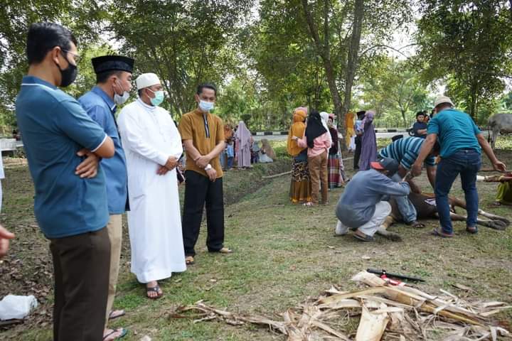 Idul Adha 1442.H/2021M,Bupati Siak Tinjau Pelaksanaan Ibadah Pemotongan Hewan Qurban