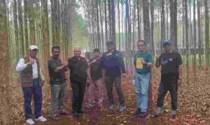 IMG-20260729-WA0053-1